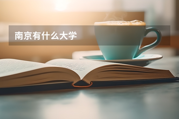 南京有什么大学