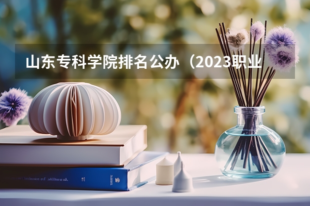 山东专科学院排名公办(2023职业技术教育学专业大学排名一览表)