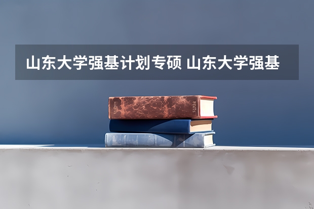 山东大学强基计划专硕 山东大学强基计划历史系通过率