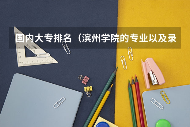国内大专排名（滨州学院的专业以及录取分）