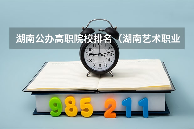 湖南公办高职院校排名（湖南艺术职业学院排名）