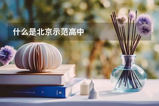 什么是北京示范高中