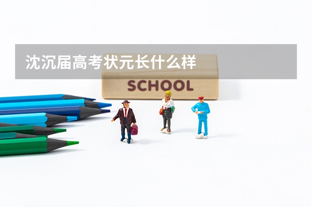 沈沉届高考状元长什么样