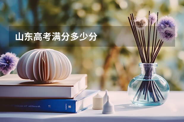 山东高考满分多少分