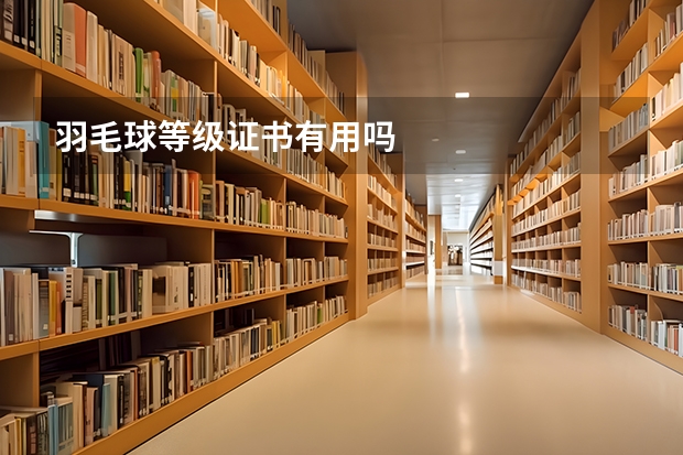 羽毛球等级证书有用吗