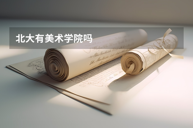 北大有美术学院吗