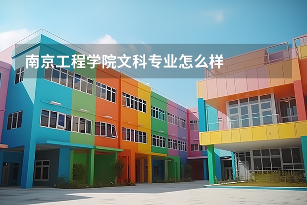 南京工程学院文科专业怎么样