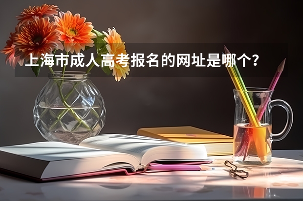 上海市成人高考报名的网址是哪个？