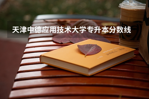 天津中德应用技术大学专升本分数线 山西财经大学中德学院在陕西省录取分数线