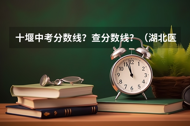 十堰中考分数线？/查分数线？（湖北医药学院药护学院是公办还是民办）