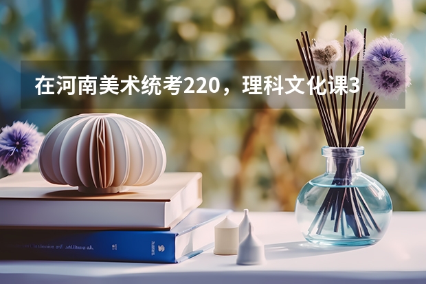 在河南美术统考220,理科文化课350能上什么大学