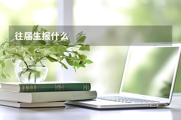 往届生报什么