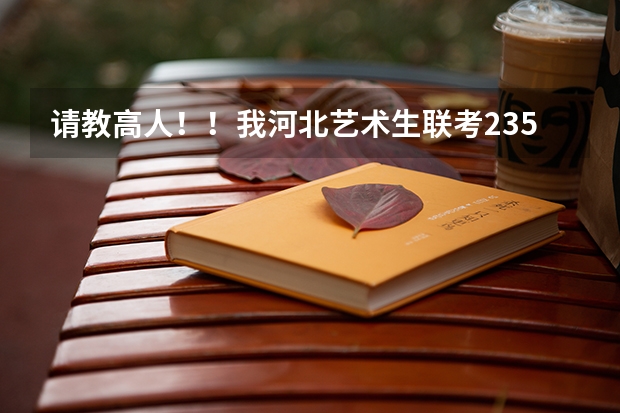 请教高人!!我河北艺术生联考235文化能考490我能用联考成绩走什莫大学吗??