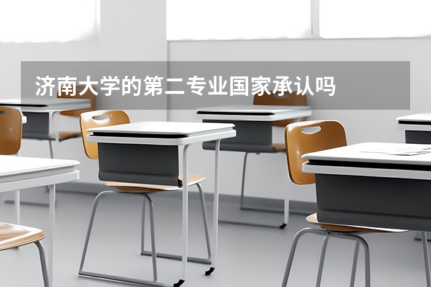 济南大学的第二专业国家承认吗