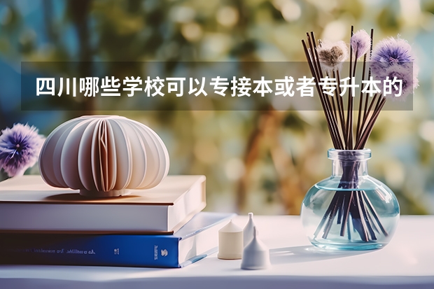 四川哪些学校可以专接本或者专升本的？