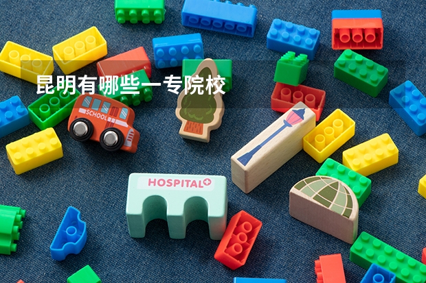 昆明有哪些一专院校