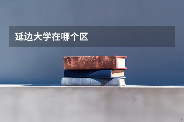 延边大学在哪个区