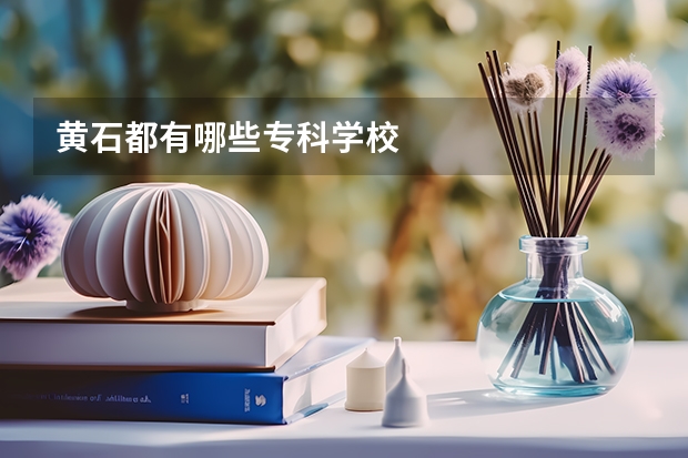 黄石都有哪些专科学校