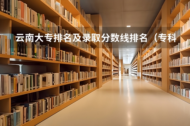 云南大专排名及录取分数线排名（专科学校排名及分数线）