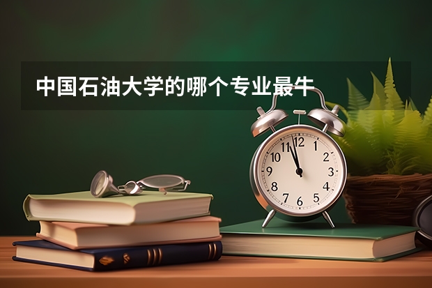 中国石油大学的哪个专业最牛