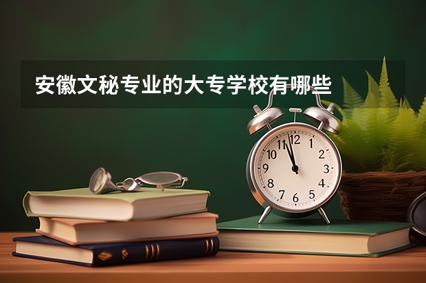 安徽文秘专业的大专学校有哪些