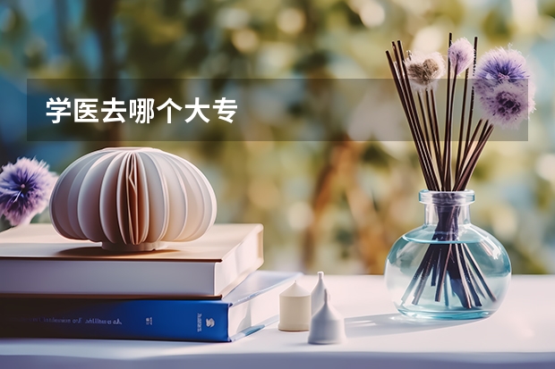 学医去哪个大专