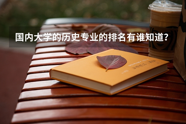 国内大学的历史专业的排名有谁知道？哪所大学的世界史学术水平最高？ 中国的清华北大的世界排名