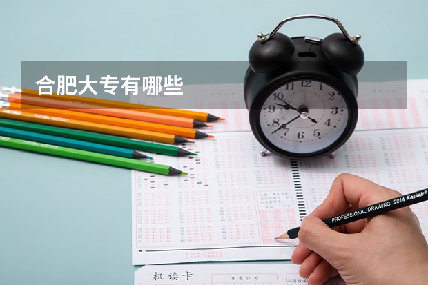 合肥大专有哪些