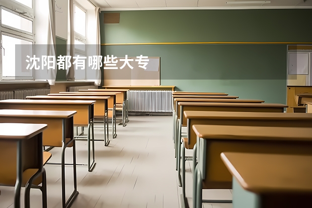 沈阳都有哪些大专