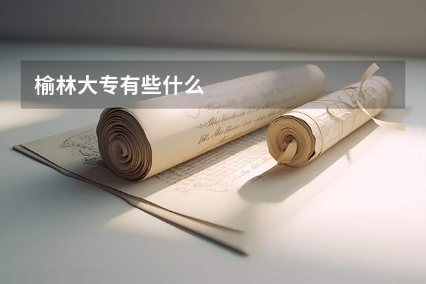 榆林大专有些什么