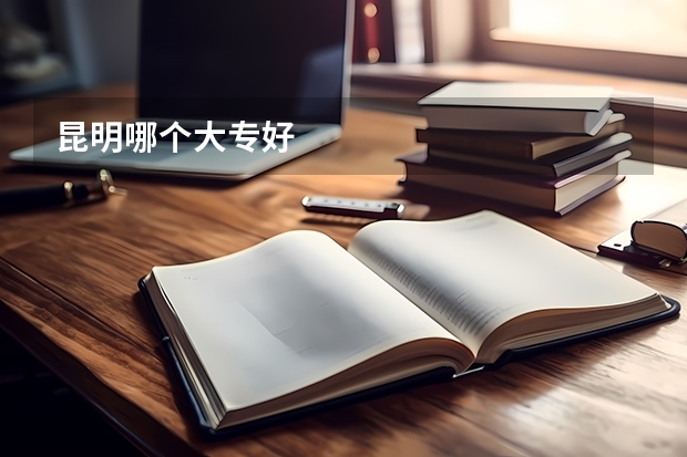 昆明哪个大专好