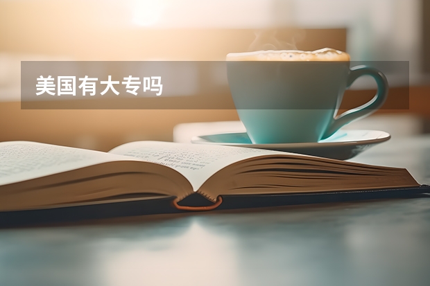 美国有大专吗