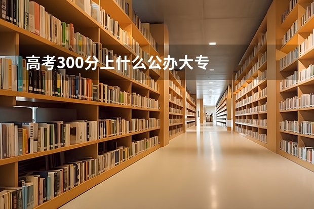 高考300分上什么公办大专