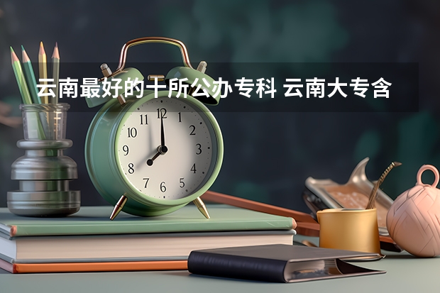 云南最好的十所公办专科 云南大专含金量排行榜