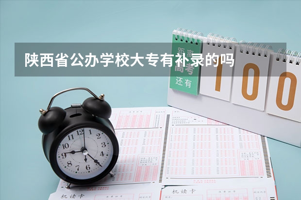 陕西省公办学校大专有补录的吗