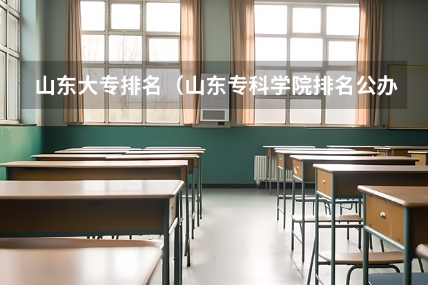 山东大专排名（山东专科学院排名公办）