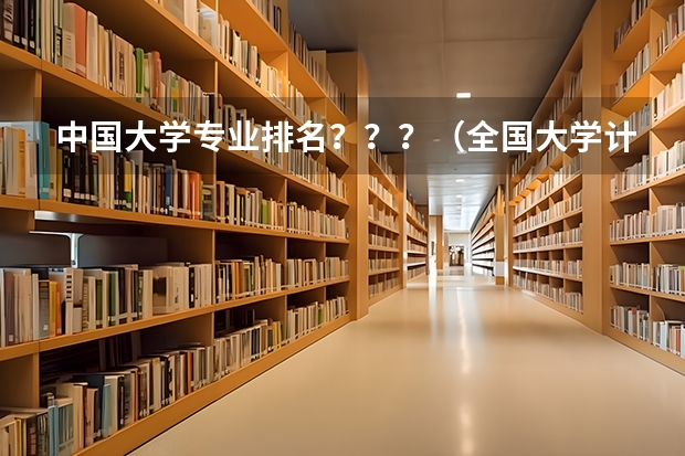 中国大学专业排名？？？/（全国大学计算机专业排名）
