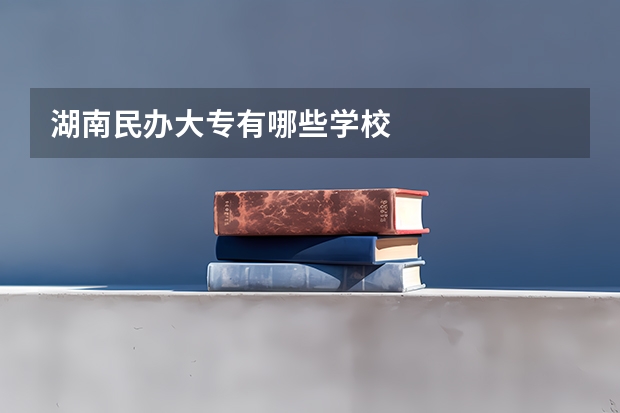 湖南民办大专有哪些学校