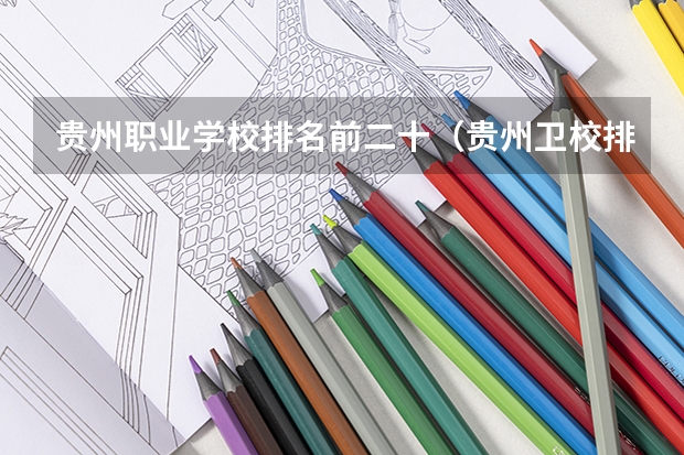 贵州职业学校排名前二十（贵州卫校排名前十名学校）