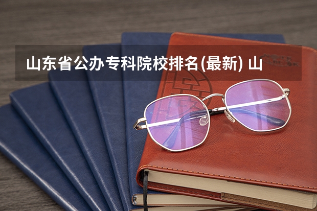 山东省公办专科院校排名(最新) 山东学医的学校排名前十名