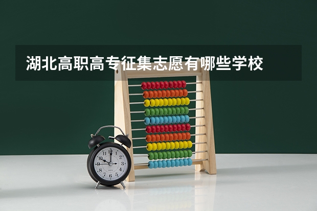 湖北高职高专征集志愿有哪些学校