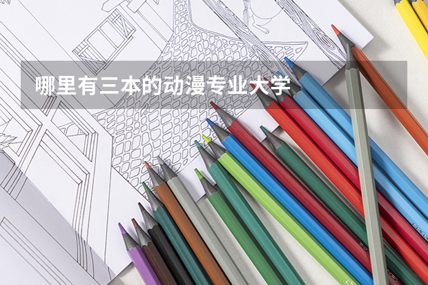 哪里有三本的动漫专业大学