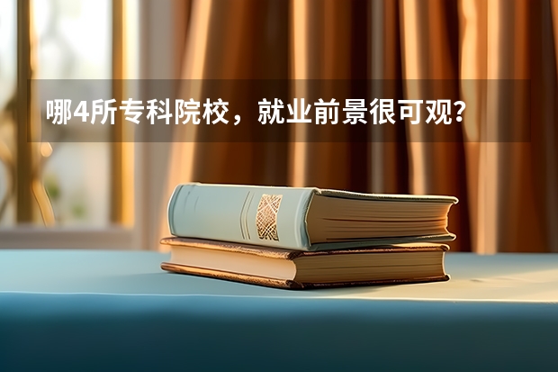 哪4所专科院校，就业前景很可观？ 广东二本b大学排名（广东二本b类大学排名）