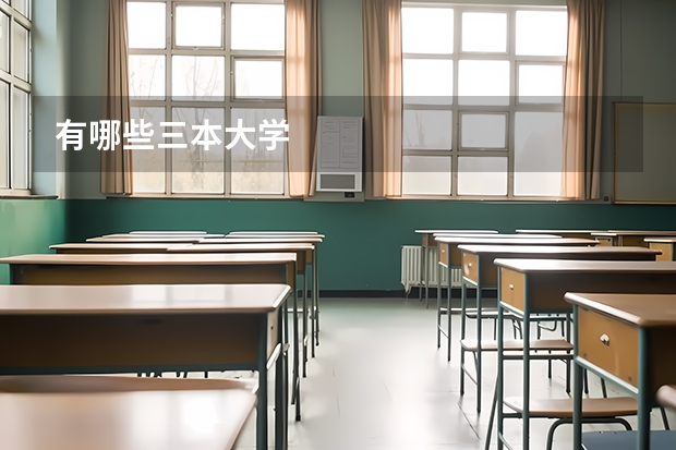 有哪些三本大学