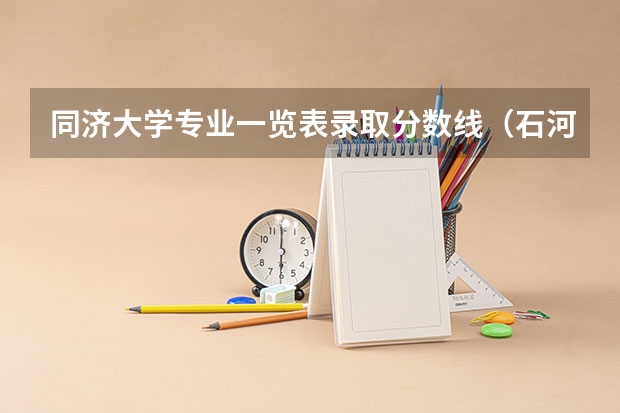 同济大学专业一览表录取分数线(石河大学安徽各专业录取分数)
