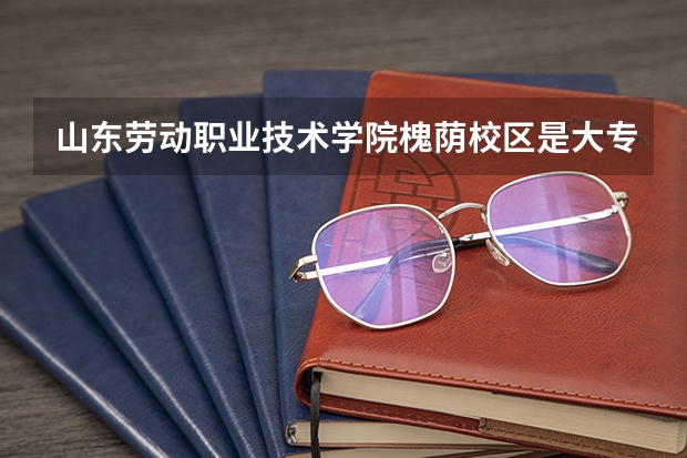 山东劳动职业技术学院槐荫校区是大专吗