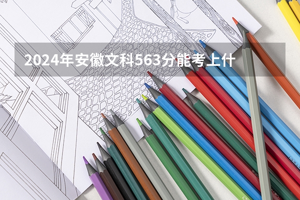 2024年安徽文科563分能考上什么大学？