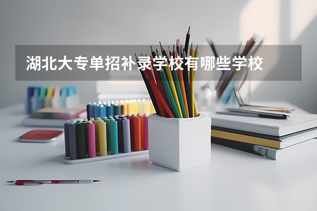 湖北大专单招补录学校有哪些学校