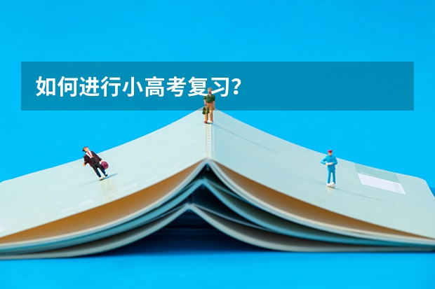 如何进行小高考复习?