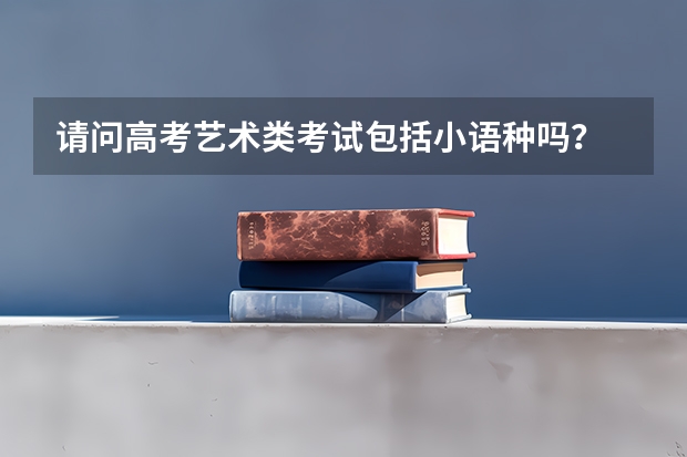 请问高考艺术类考试包括小语种吗？